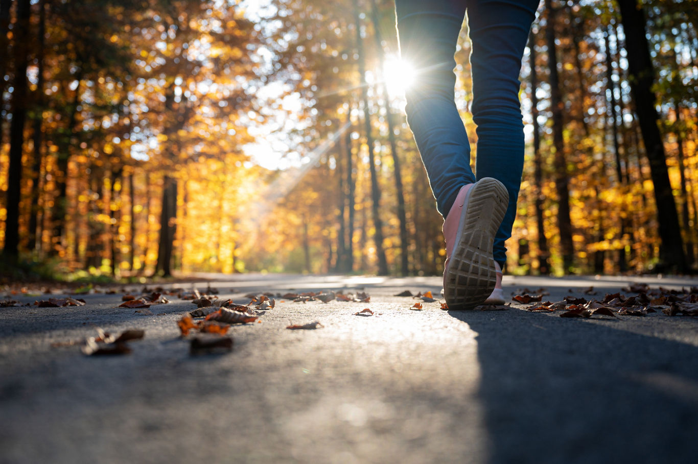 Taking a Walk Surrounded By Fall Leaves | Blog | Greystar